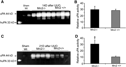 Figure 10.