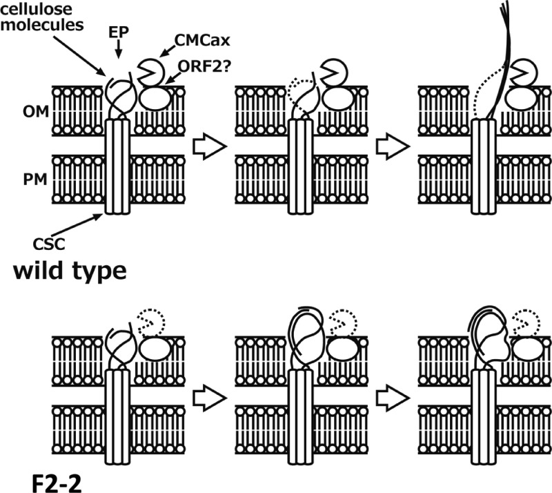 Fig 4