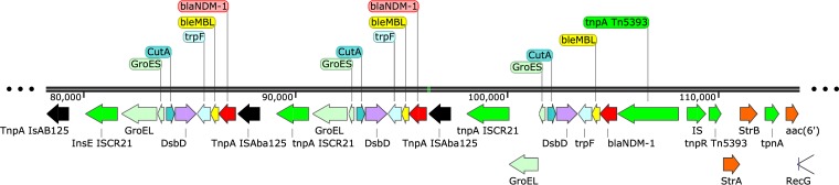 FIG 1