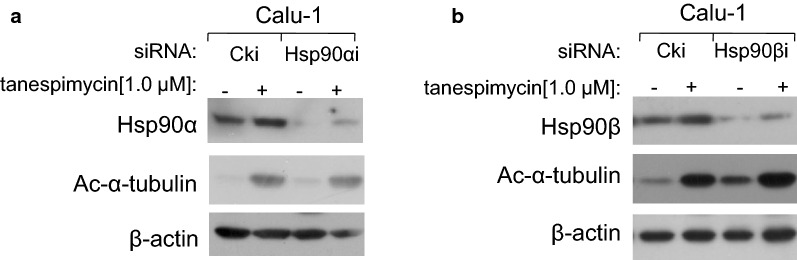 Fig. 8