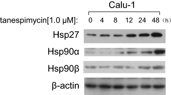 Fig. 9