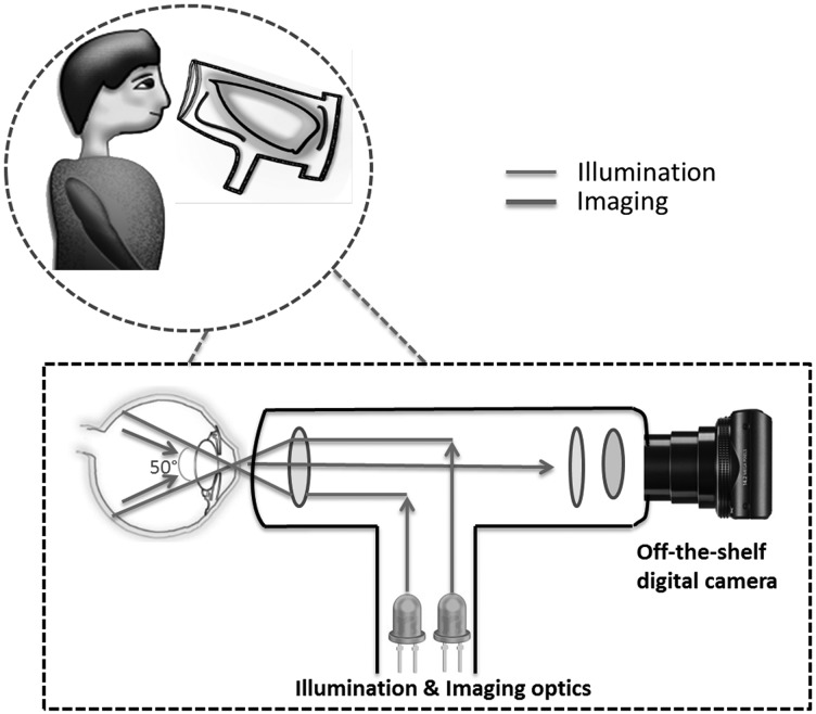 Fig. 4.