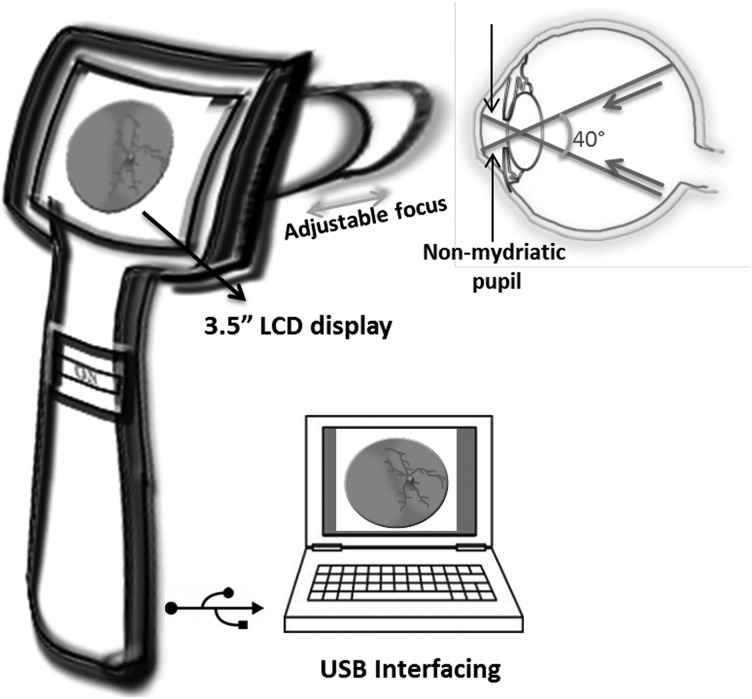 Fig. 5.