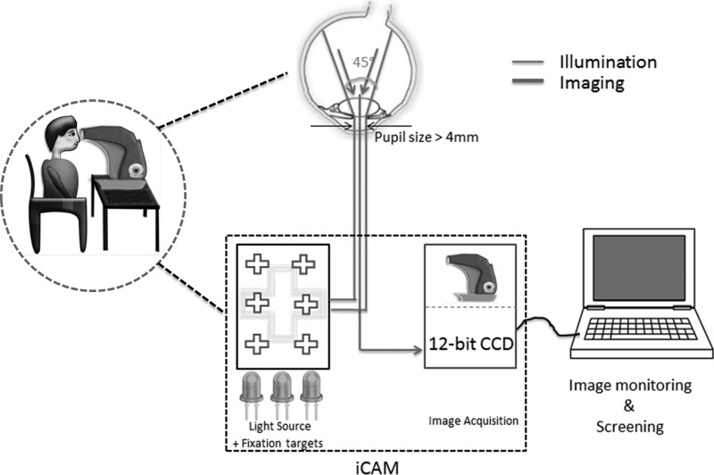 Fig. 2.