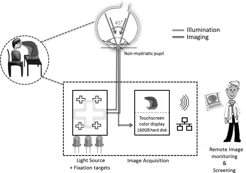 Fig. 3.