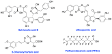 Figure 7