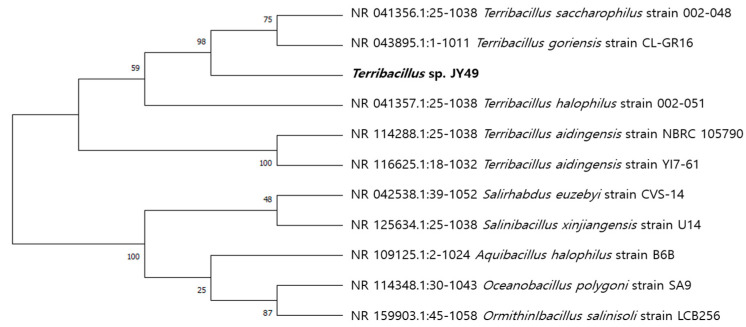 Figure 2