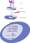 Fig. 9