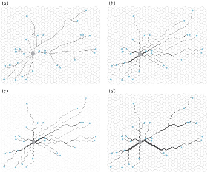 Figure 4.