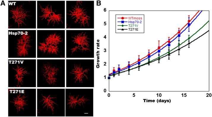 Figure 2.