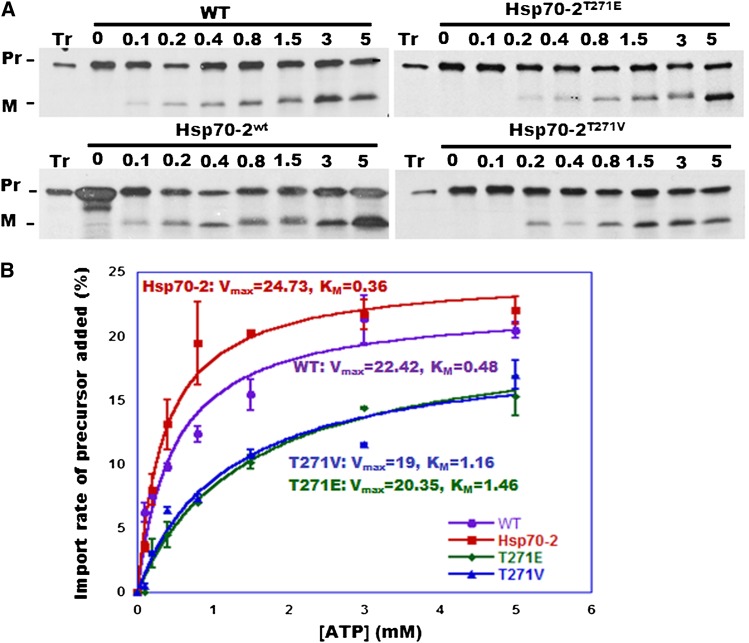 Figure 6.