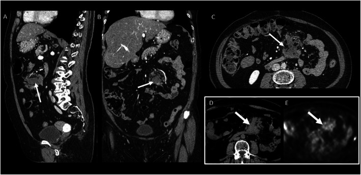 Fig. 8