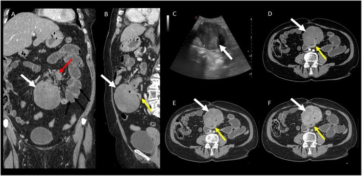 Fig. 9