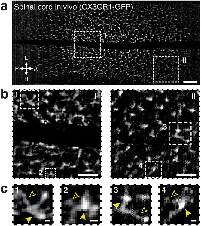 Extended Data Fig. 7 ∣