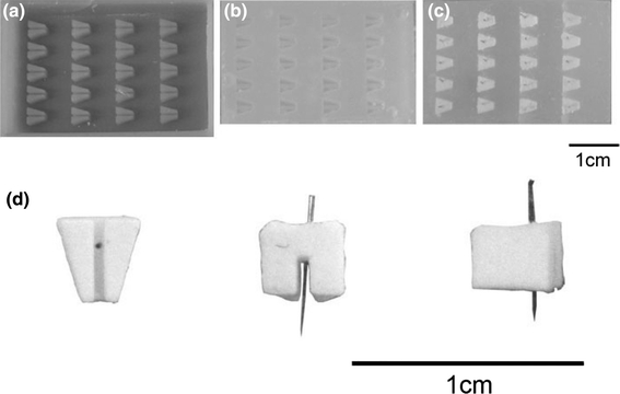 FIGURE 1