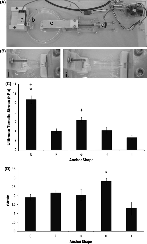 FIGURE 6