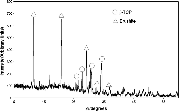 FIGURE 2