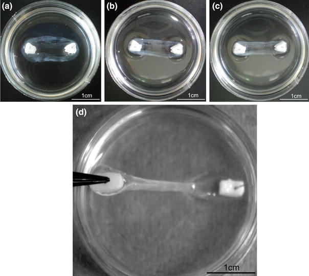 FIGURE 3