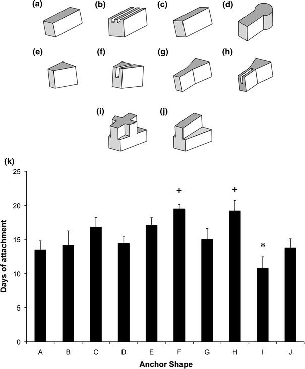 FIGURE 5