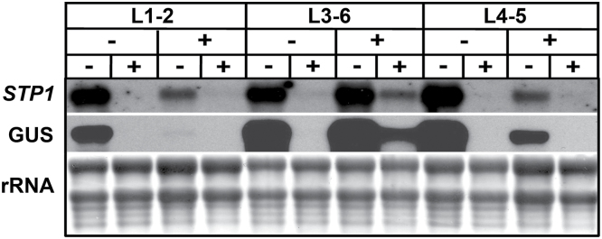 Fig. 6.