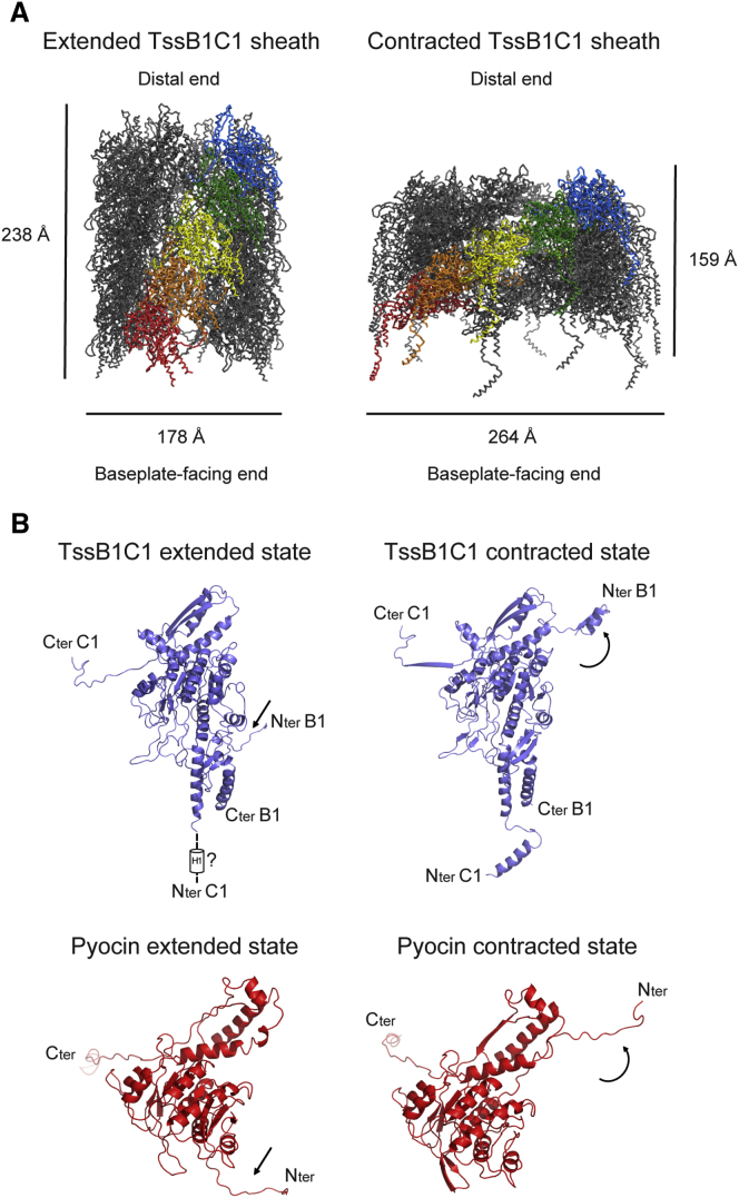 Figure 4