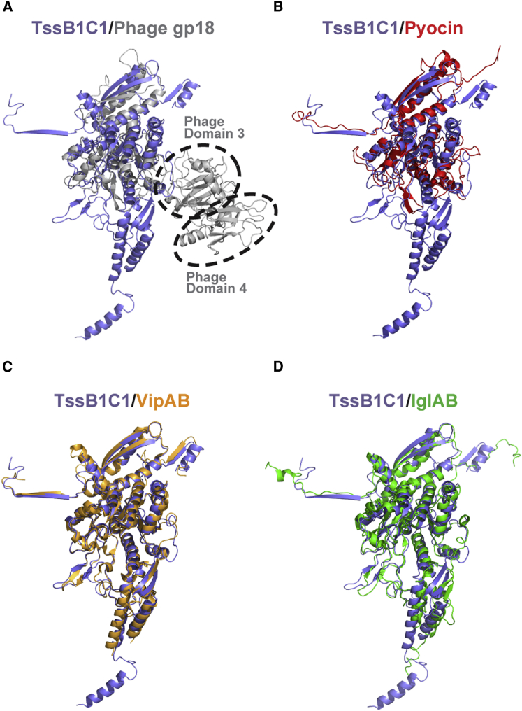 Figure 3