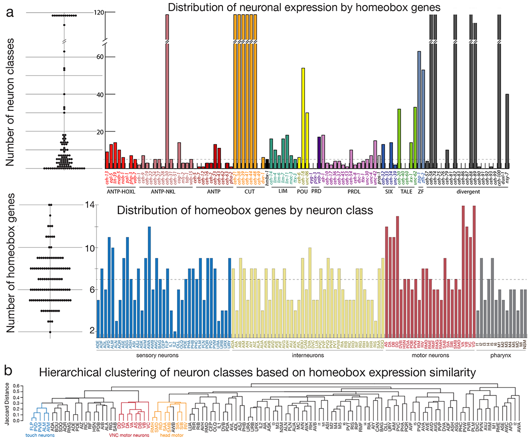 Figure 2: