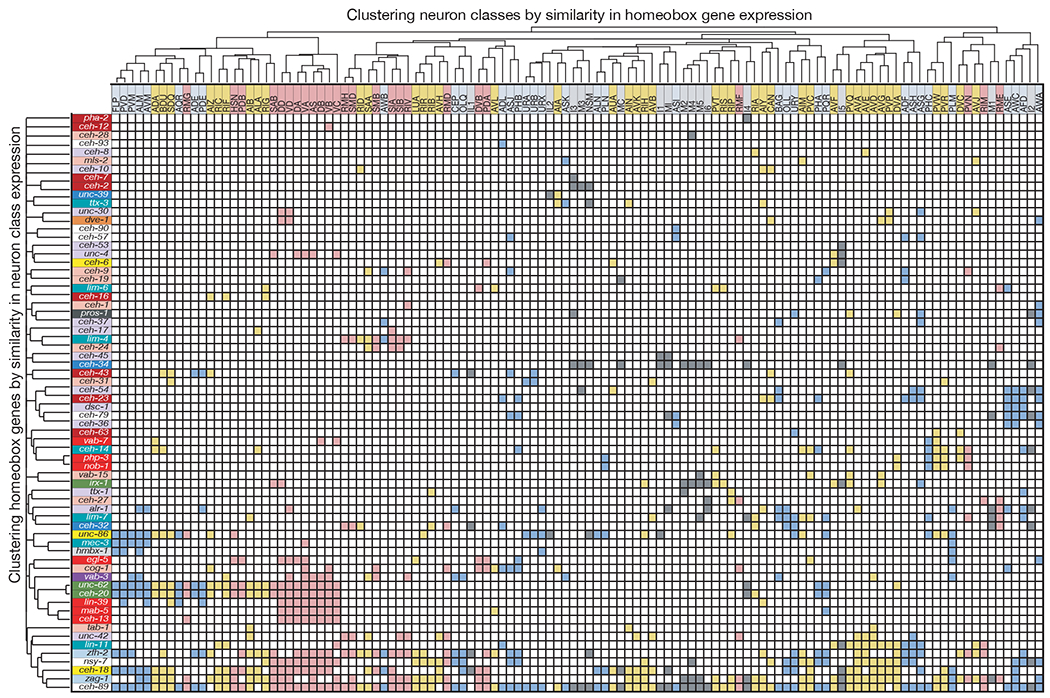 Figure 3: