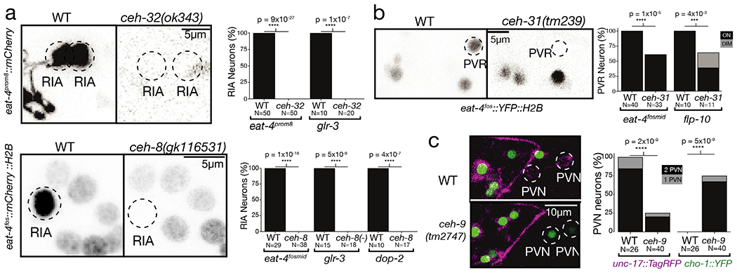 Figure 4: