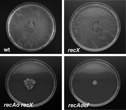 FIG. 7.