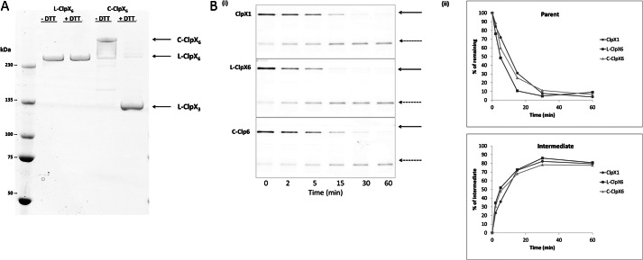 FIGURE 7.