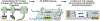 Fig 1.