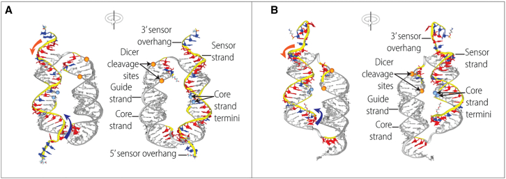 Figure 2