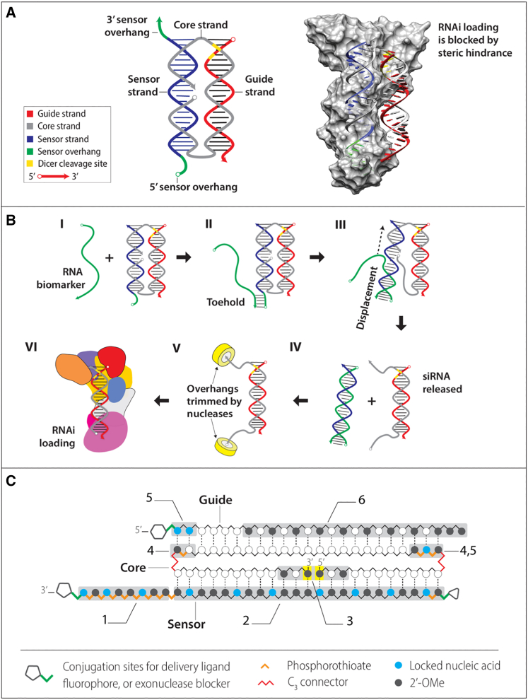 Figure 1