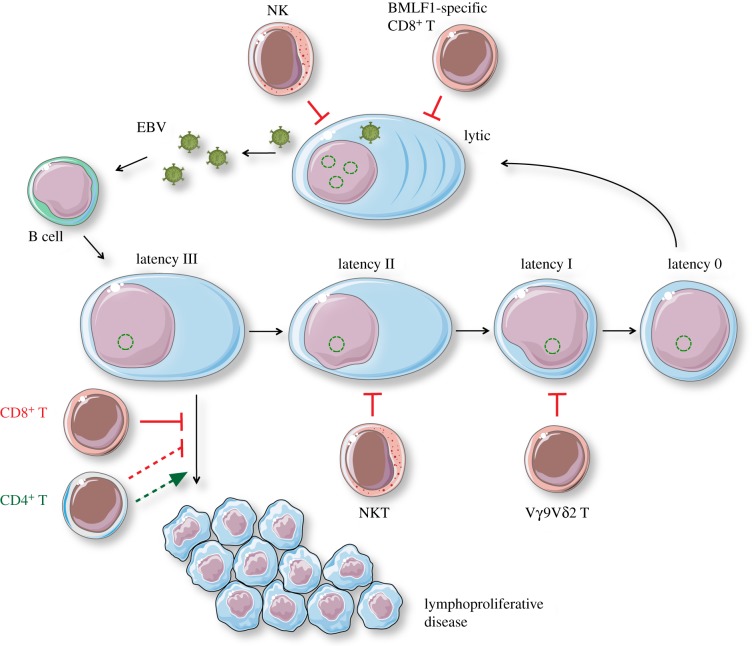 Figure 2.