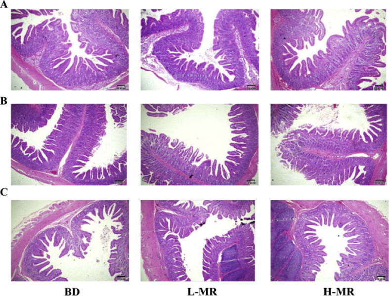 Fig. 2