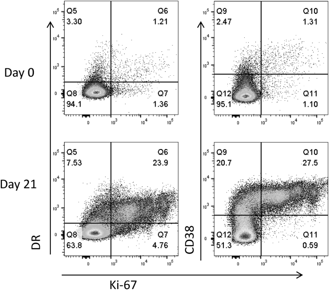 Figure 6