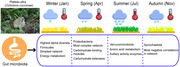 graphic file with name INZ2-17-379-g008.jpg