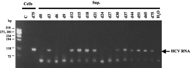 FIG. 5.