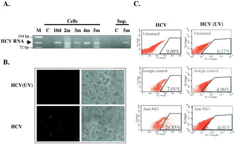 FIG. 6.