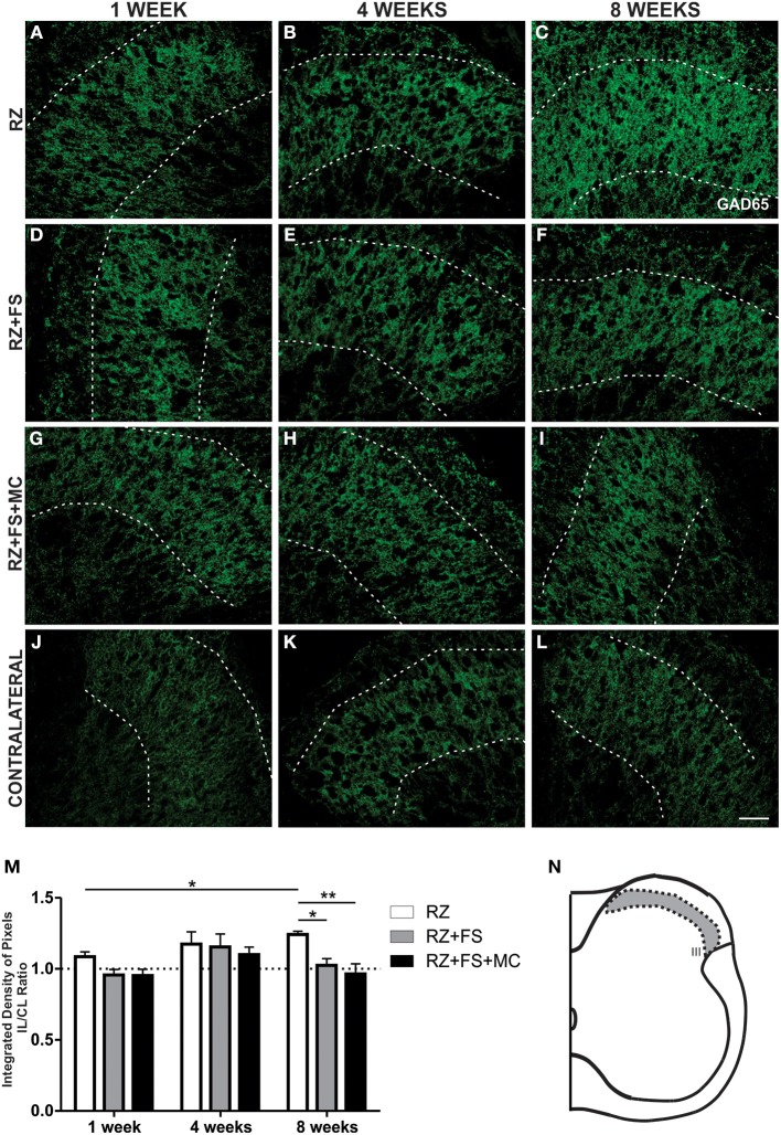 Figure 12