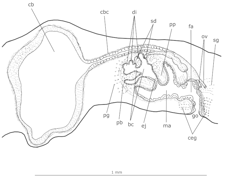 Figure 14.