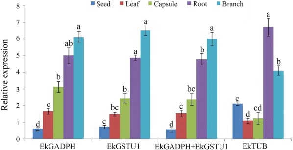 Fig. 4