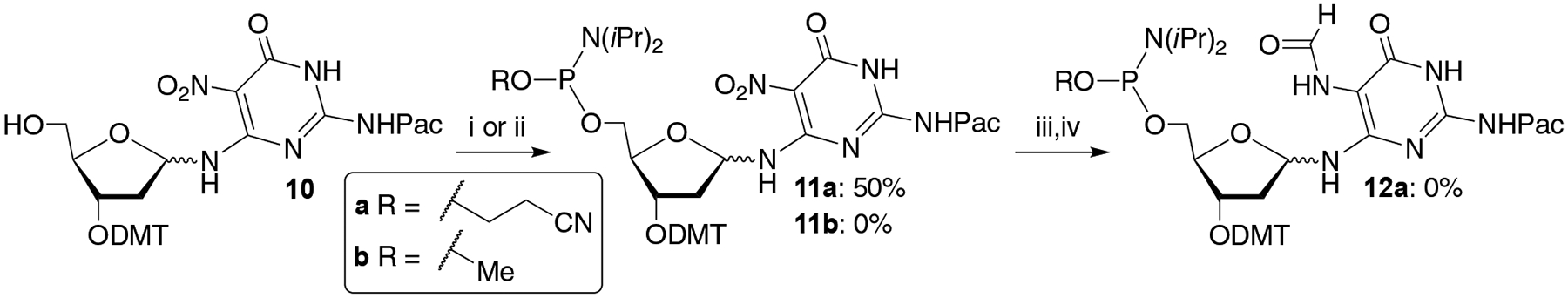 Scheme 5.