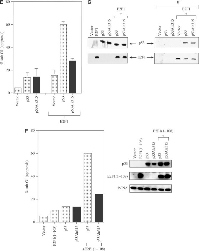 Figure 4efg