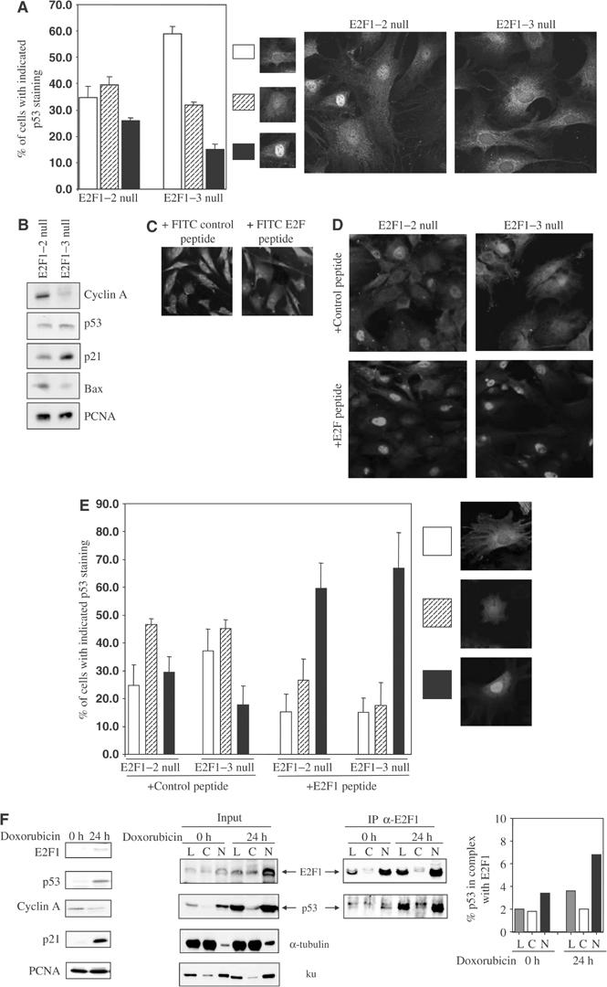 Figure 7abcdef