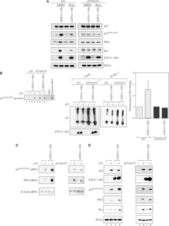 Figure 4abcd