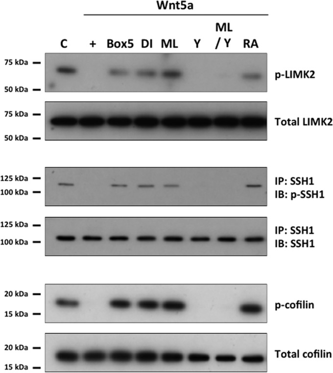 FIG 8