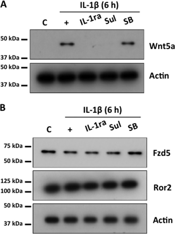 FIG 9