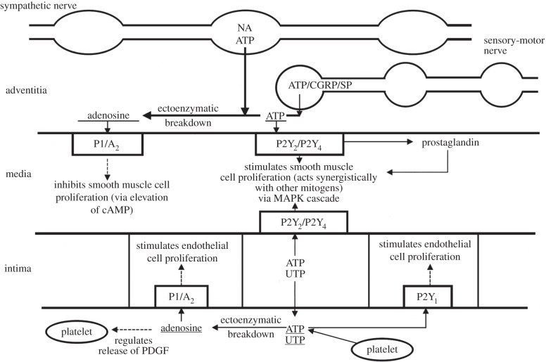 Figure 3.